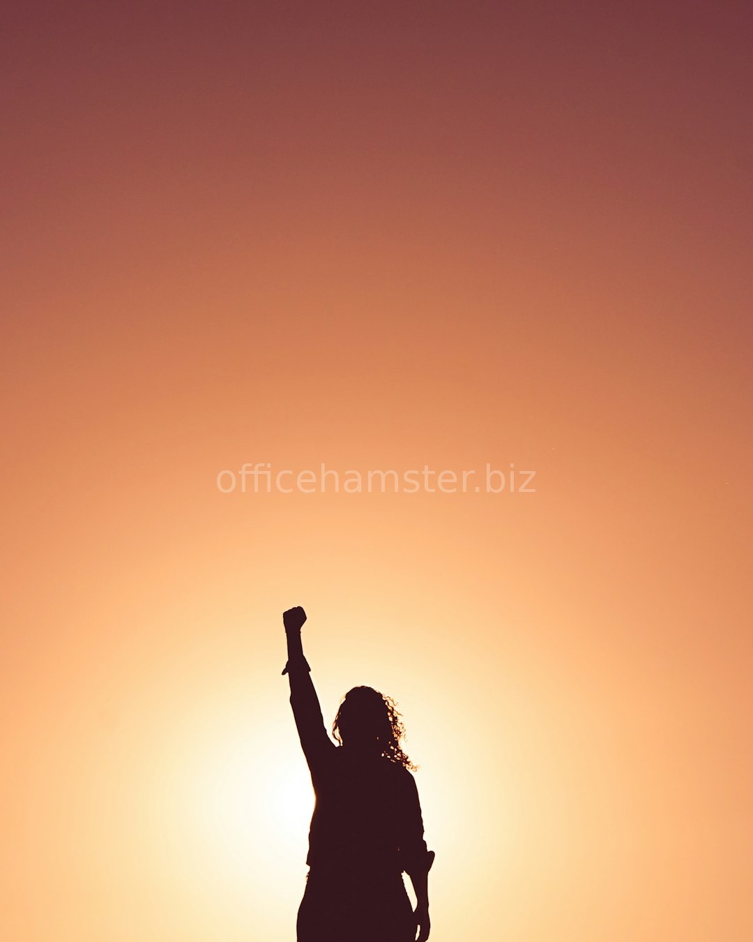 Gallery 3