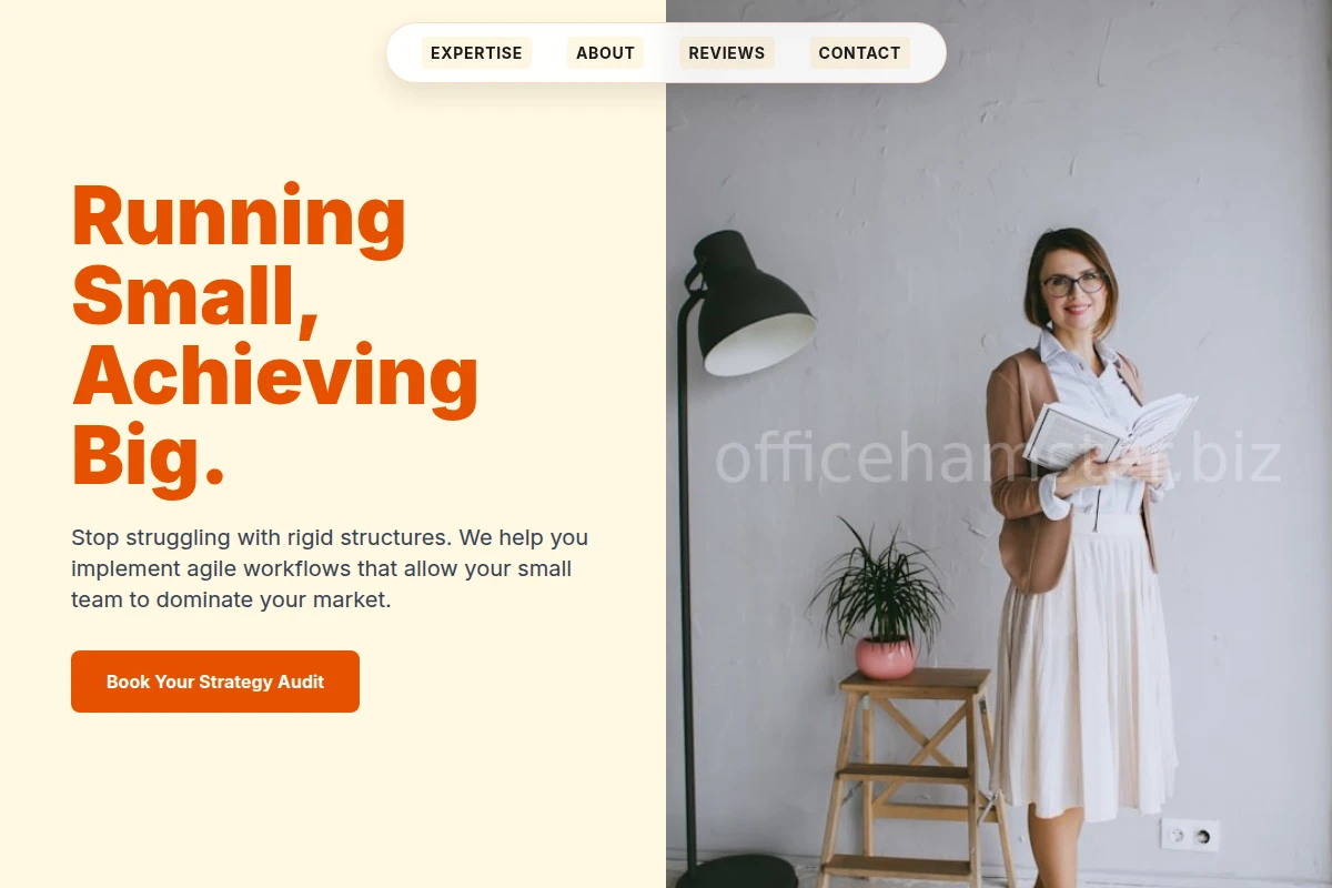 Agile Business Coach