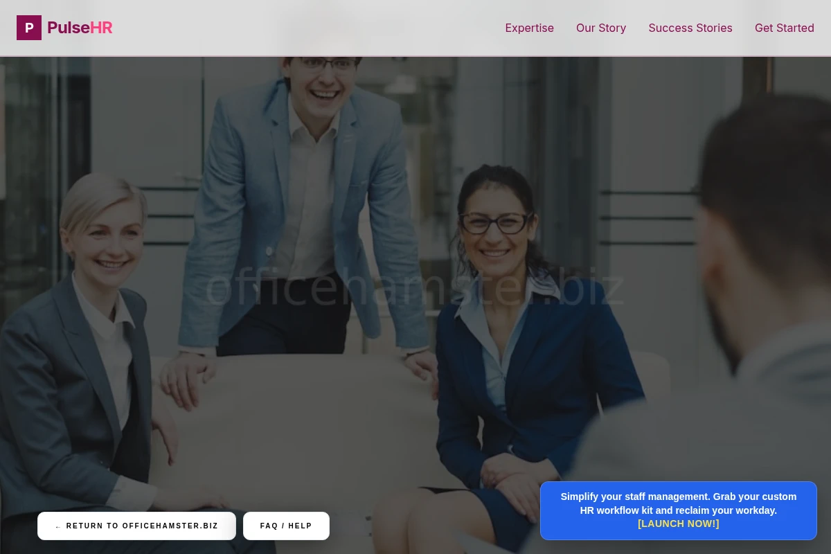 Pulse Hr Consulting